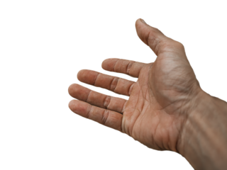 pixabay pixabay