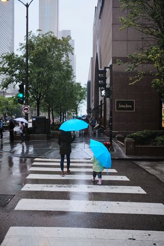Photograph by Ian Battaligia. Copyright free. Unsplash