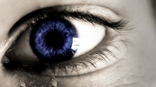 Pixabay, Public Domain Pixabay, Public Domain