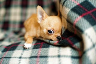 Kevin Phillips/Pixabay Kevin Phillips/Pixabay