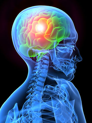 Shutterstock Shutterstock