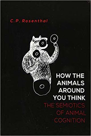 How Animals Think, Feel, and Communicate Without Language | Psychology  Today Australia
