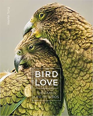 Why Do Birds Flock Together?  Psychology Today United Kingdom