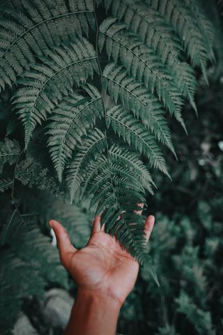 Marcos Paolo Prado/Unsplash Marcos Paolo Prado/Unsplash