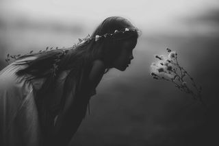 Image from Pixabay Image from Pixabay