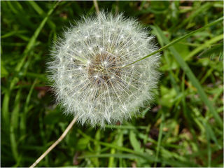 Source: Maureen Barlin/Flickr Source: Maureen Barlin/Flickr