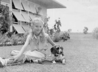 Diane Dreher photo Diane Dreher photo