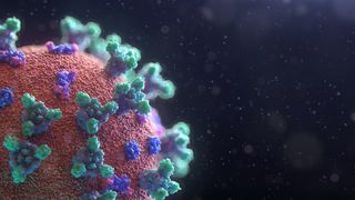  Fusion Medical Animation/Unsplash