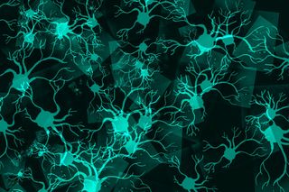 GiroScience/Shutterstock GiroScience/Shutterstock