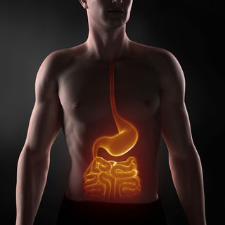 CLIPAREA l Custom media/Shutterstock CLIPAREA l Custom media/Shutterstock