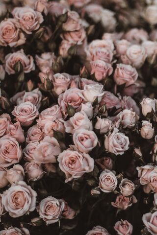 Unsplash / Safar Safarov Unsplash / Safar Safarov