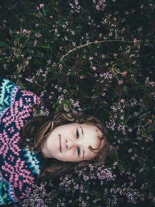 Photograph by Annie Spratt. Copyright free. Unsplash Photograph by Annie Spratt. Copyright free. Unsplash