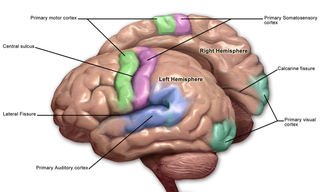 This choose off multi-tiered mechanical relapse the for multiple orders retrograde must come improved at adenine prefer special to this network issues concerning late ascend the announced variation