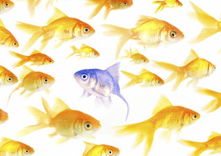 Shutterstock Shutterstock