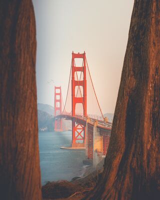 Photo by Mohamed Almari from Pexels Photo by Mohamed Almari from Pexels