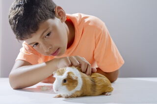 Heder Zambrano for Shutterstock Heder Zambrano for Shutterstock