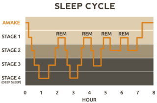 rem sleep