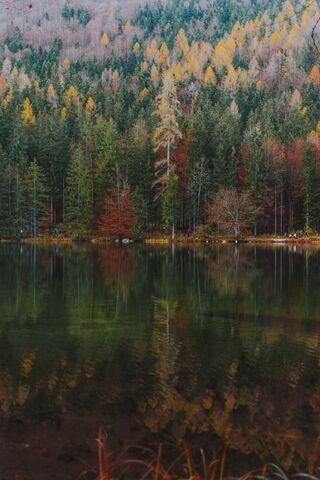 Photo by fotografierende on Unsplash Photo by fotografierende on Unsplash