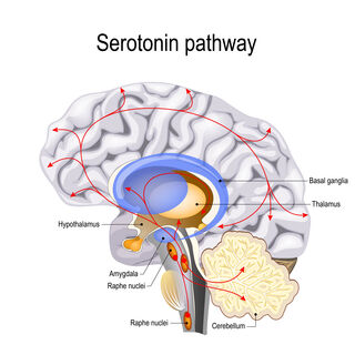 Pin on Serotonin Style