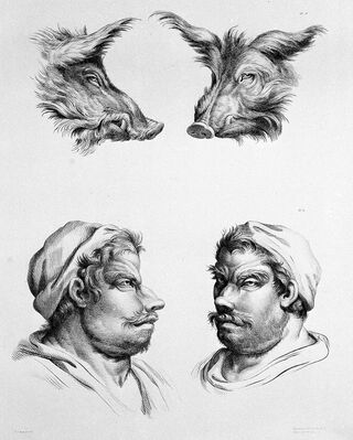  Charles Le Brun, Wellcome L0025875, CC BY 4.0 via Wikimedia Commons