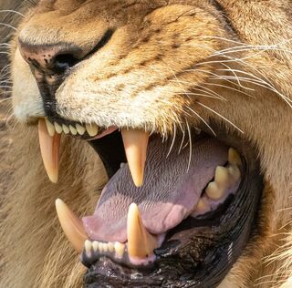 Photo by Petr Ganaj/Pexels