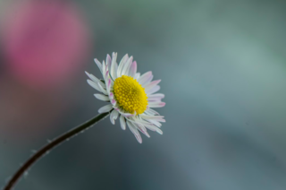 Naturel Lerutann/Unsplash Naturel Lerutann/Unsplash