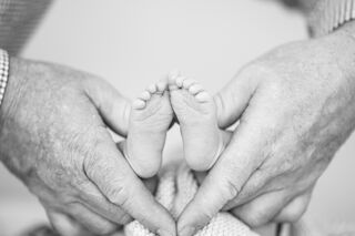 javad-esmaeili-unsplash javad-esmaeili-unsplash