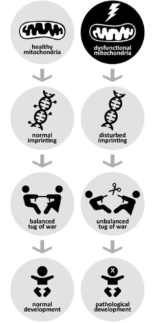 Biomedicines 2021, 9, 116. Biomedicines 2021, 9, 116.