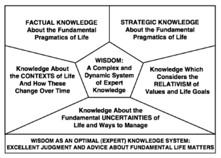 Adapted from Baltes & Smith (2008) Adapted from Baltes & Smith (2008)