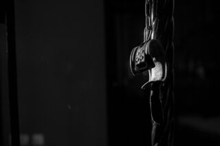 Михаил Решетников/ Adobe Stock Михаил Решетников/ Adobe Stock