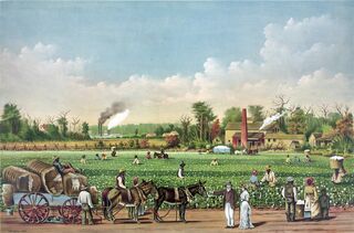  239399914 Idealized view of cotton plantation on the Mississippi River, with African American workers. Evocative of Southern antebellum era of pre-Civil War prosperity and slavery. Color lithograph, 1884 E By Everett Collection