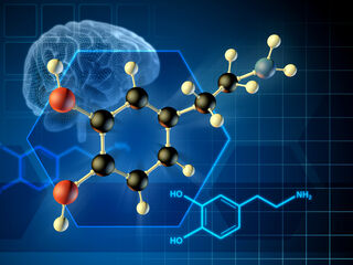 Dopamine, Definition, Function & Effects - Lesson