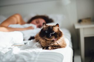 Adam Kuylenstierna, Unsplash Adam Kuylenstierna, Unsplash