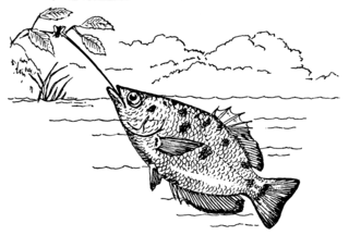 Source: Pearson Scott Foresman/Wikimedia Commons Source: Pearson Scott Foresman/Wikimedia Commons