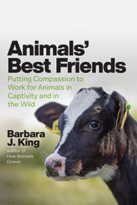 Engaging in Compassionate Action for Animals | Psychology Today