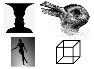 Source: Rabbit and Duck, Fliegende Blätter 1892 / Modified by Nicolas Davidenko. Spinning dancer (Nobuyuki Kayahara), Faces/vase (Edgar Rubin), Necker Cube (Louis Albert Necker)