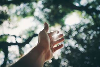  Selective Focus Photography Of Hand/Pexels
