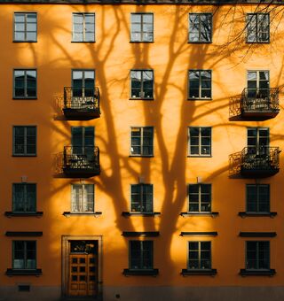Jon Flobrant, Unsplash Jon Flobrant, Unsplash