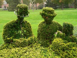 Photo courtesy of Friends of the Topiary Park.
