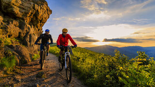 gorillaimages/Shutterstock gorillaimages/Shutterstock