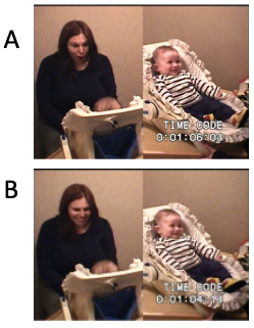  Origins of attachment, used with permission from B. Beebe