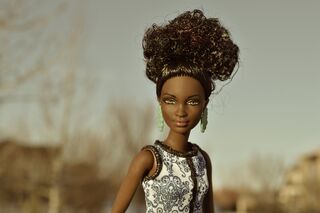 Black barbie 2024 real life