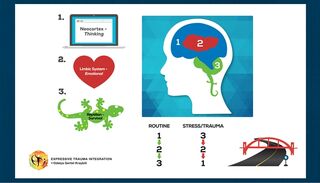 Dr. Odelya Gertel Kraybill Expressive Trauma Integration™