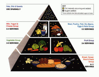 USDA Center for Nutrition Policy and Promotion, public domain