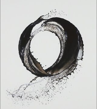 © Shinichi Maruyama, Kusho #1, 2007, Courtesy Bruce Silverstein Gallery, New York