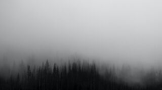 Patrick Hendry/Unsplash Patrick Hendry/Unsplash