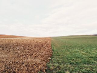 Pixabay Pixabay
