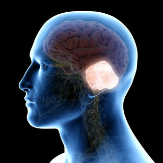 SciePro/Shutterstock SciePro/Shutterstock