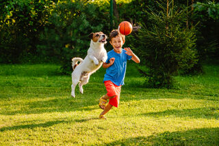 Los beneficios del deporte en niños - Alphil Psicólogos