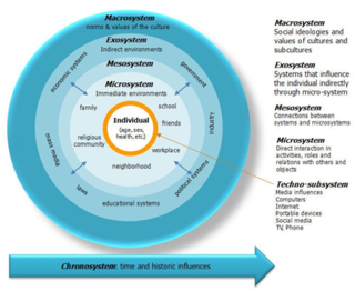 Image Courtesy of Predescu, al ghazi & Darjan's An Ecological Approach of Autism Spectrum Disorders, 2018